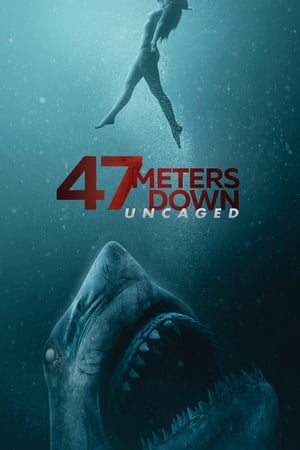 47 Meters Down: Uncaged (2019) Dual Audio | Dubbed Hindi Movie BluRay [950MB]