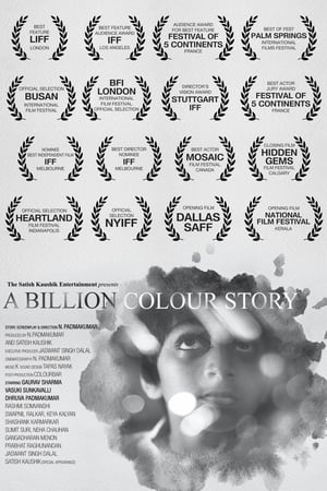 A Billion Colour Story 2016 Movie | Dubbed Hindi Movie HDRip x264 [840MB]