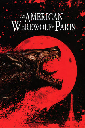An American Werewolf in Paris 1997 Dual Audio | Dubbed Hindi Movie BluRay [860MB]
