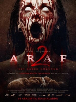 Araf 2 2019 Dual Audio | Dubbed Hindi Movie Web-DL [750MB]