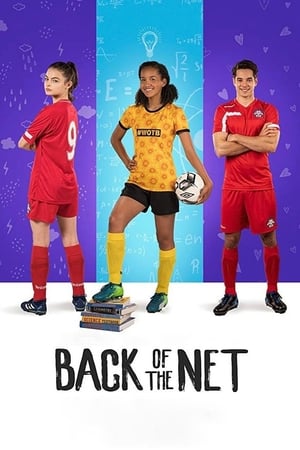 Back of the Net (2019) Dual Audio | Dubbed Hindi Movie Web-DL 300MB