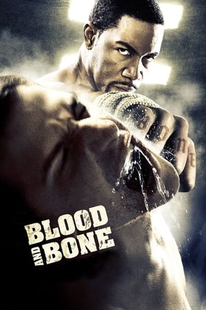 Blood and Bone (2009) Dual Audio | Dubbed Hindi Movie BluRay [950MB]