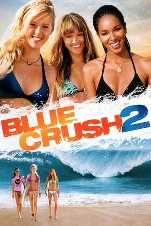 Blue Crush 2 (2011) Dual Audio | Dubbed Hindi Movie BluRay [1.1GB]