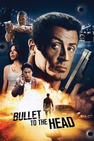 Bullet to the Head 2012 Dual Audio | Dubbed Hindi Movie BluRay 300MB