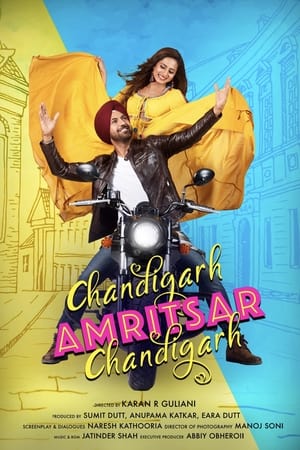 Chandigarh Amritsar Chandigarh (2019) Punjabi Movie | Dubbed Hindi Movie HDRip - [300MB]