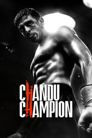 Chandu Champion 2024 HDRip | Dubbed Hindi Movie – 480p – 1080p