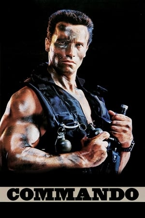 Commando (1985) Dual Audio | Dubbed Hindi Movie BluRay 300MB