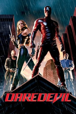 Daredevil (2003) Dual Audio | Dubbed Hindi Movie BDRip [880MB]