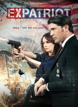 ExPatriot 2017 Dual Audio | Dubbed Hindi Movie BluRay [870MB]