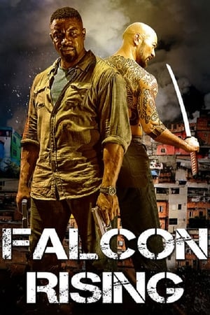Falcon Rising (2014) Dual Audio | Dubbed Hindi Movie BluRay 300MB