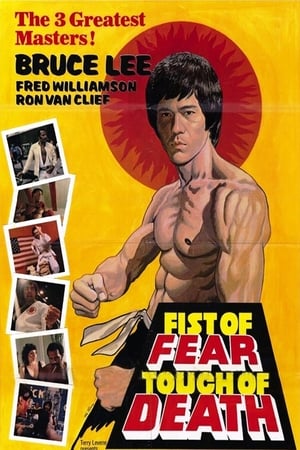Fist of Fear Touch of Death 1980 Dual Audio | Dubbed Hindi Movie DVDRip 300MB
