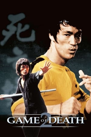 Game of Death II (1981) Dual Audio Movie | Dubbed Hindi Movie BluRay - 1.1GB