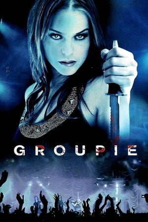 Groupie (2010) Dual Audio | Dubbed Hindi Movie BluRay [1.1GB]