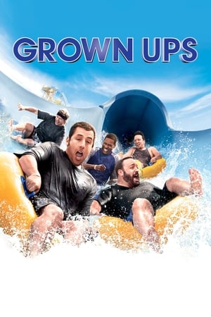 Grown Ups (2010) Dual Audio | Dubbed Hindi Movie BluRay 300MB