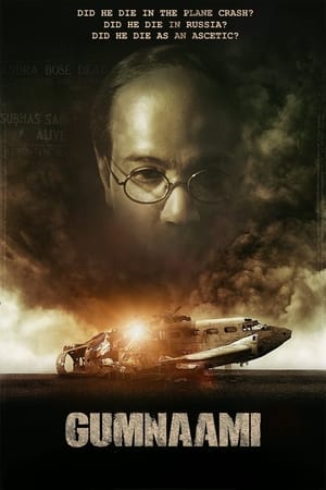 Gumnaami (2019) Movie | Dubbed Hindi Movie HDRip x264 [1GB]