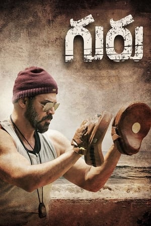 Guru (2017) Dual Audio | Dubbed Hindi Movie UnCut HDRip 450MB