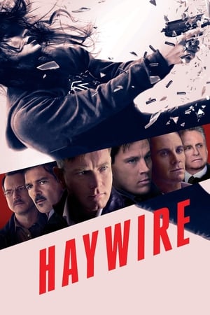 Haywire (2011) Dual Audio | Dubbed Hindi Movie BluRay [700MB]