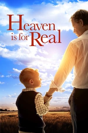 Heaven Is for Real (2014) Dual Audio | Dubbed Hindi Movie BluRay 300MB