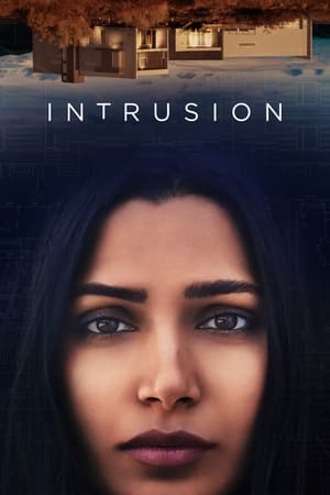 Intrusion (2021) Dual Audio | Dubbed Hindi Movie HDRip [950MB]