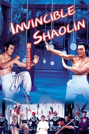 Invincible Shaolin 1978 Dual Audio | Dubbed Hindi Movie BluRay 300MB