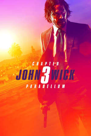 John Wick Chapter 3 Parabellum (2019) Dubbed | Dubbed Hindi Movie BluRay [1GB]