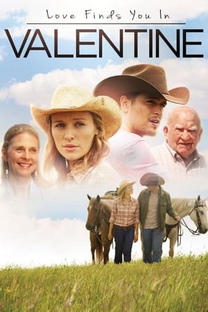 Love Finds You in Valentine (2016) Dual Audio | Dubbed Hindi Movie BluRay 300MB