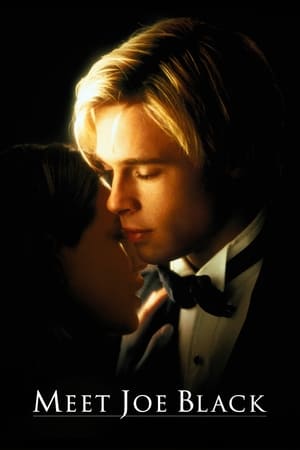 Meet Joe Black 1998 Dual Audio | Dubbed Hindi Movie BluRay 550MB