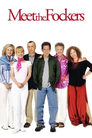 Meet the Fockers (2004) Dual Audio | Dubbed Hindi Movie BluRay 380MB