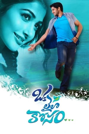 Oka Laila Kosam 2014 ( – Telugu) Dual Audio | Dubbed Hindi Movie UnCut HDRip 500MB