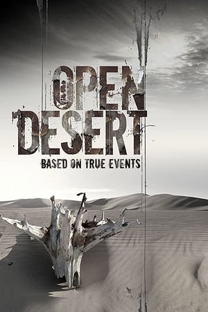 Open Desert (2013) Dual Audio HDRip | Dubbed Hindi Movie – 480p