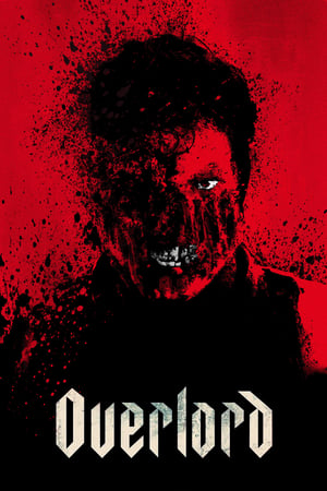 Overlord (2018) Dual Audio | Dubbed Hindi Movie BluRay [1.1GB]