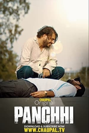 Panchhi (2021) Punjabi Movie | Dubbed Hindi Movie HDRip x264 [750MB]