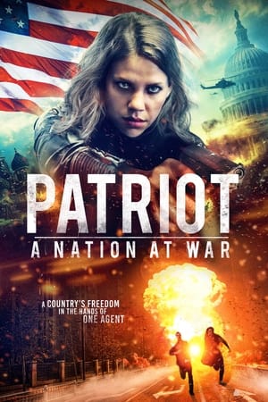 Patriot A Nation at War 2020 Dual Audio | Dubbed Hindi Movie Web-DL [930MB]