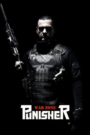 Punisher: War Zone (2008) Dual Audio | Dubbed Hindi Movie BluRay [880MB]