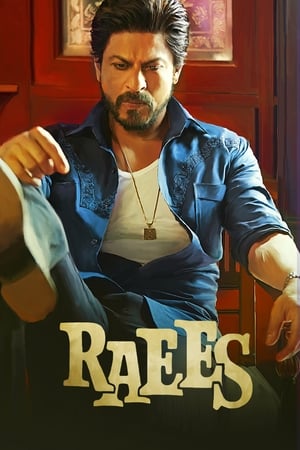 Raees 2017 200mb movie Hevc Bluray