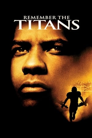 Remember the Titans (2000) Dual Audio | Dubbed Hindi Movie BluRay [700MB]