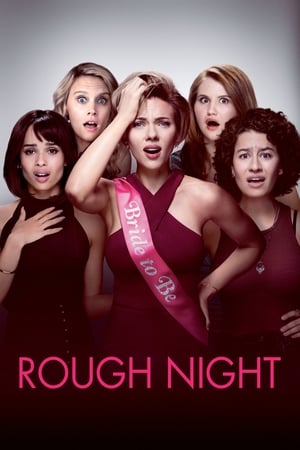 Rough Night (2017) Dual Audio | Dubbed Hindi Movie BluRay 400MB