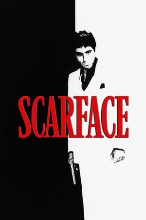 Scarface (1983) Dual Audio | Dubbed Hindi Movie BluRay 500MB