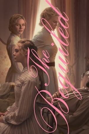 The Beguiled (2017) Dual Audio | Dubbed Hindi Movie BluRay [780MB]