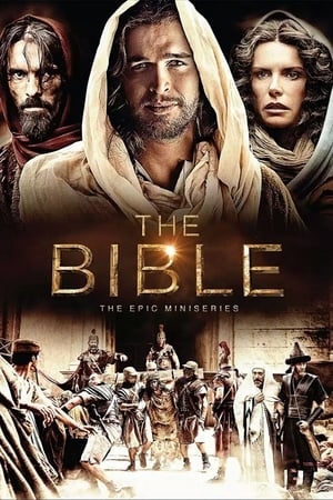 The Bible 2013 S01E05 () Dubbed | Dubbed Hindi Movie BRRip [250MB]