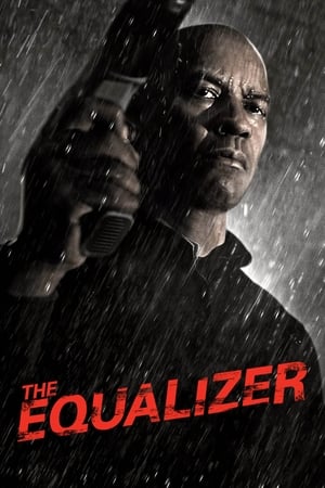The Equalizer (2014) Dual Audio BluRay | Dubbed Hindi Movie – 480p