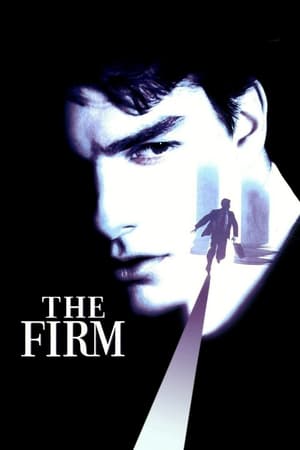 The Firm (1993) Dual Audio | Dubbed Hindi Movie BluRay [980MB]