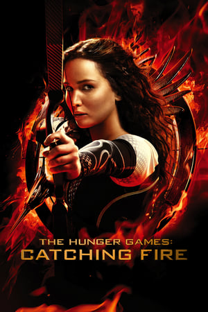 The Hunger Games Catching Fire 2013 Dual Audio | Dubbed Hindi Movie BluRay 480MB