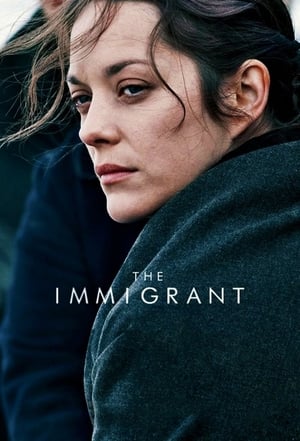 The Immigrant (2013) Dual Audio | Dubbed Hindi Movie BluRay [880MB]