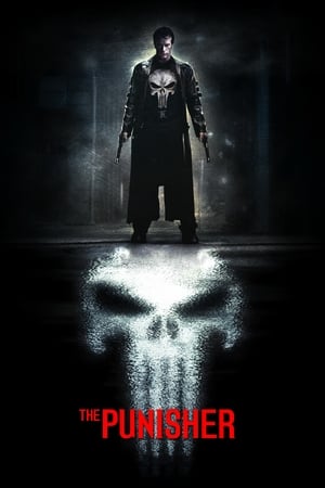 The Punisher 2004 Dual Audio | Dubbed Hindi Movie BluRay 380MB