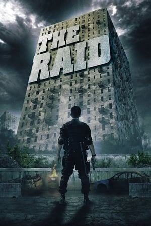 The Raid: Redemption (2011) Dual Audio | Dubbed Hindi Movie BluRay 300MB ESubs