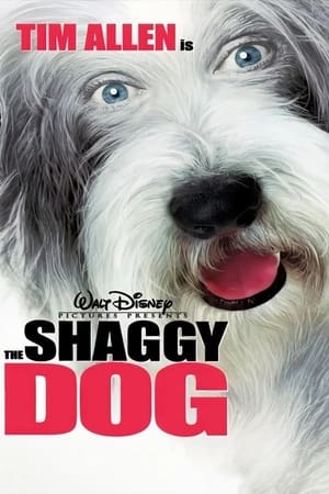 The Shaggy Dog (2006) Dual Audio | Dubbed Hindi Movie BluRay [950MB]