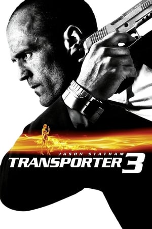 Transporter 3 (2008) Dual Audio | Dubbed Hindi Movie BluRay 300MB