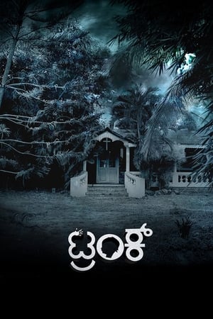 Trunk (2018) ( - Kannada) Dual Audio | Dubbed Hindi Movie UnCut HDRip [1.4GB]