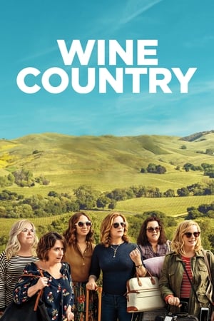 Wine Country (2019) Dual Audio | Dubbed Hindi Movie Web-DL [1GB]